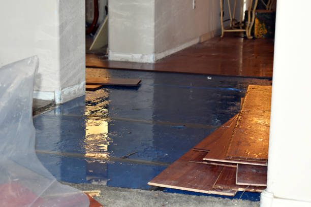 Professional Basement Flood Cleanup technician working in Lovell, ME
